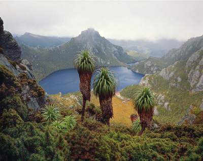 Далекая Тасмания в ярких пейзажах. Фото