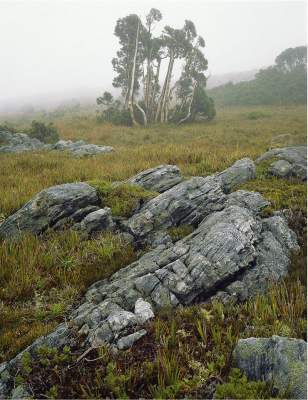 Далекая Тасмания в ярких пейзажах. Фото
