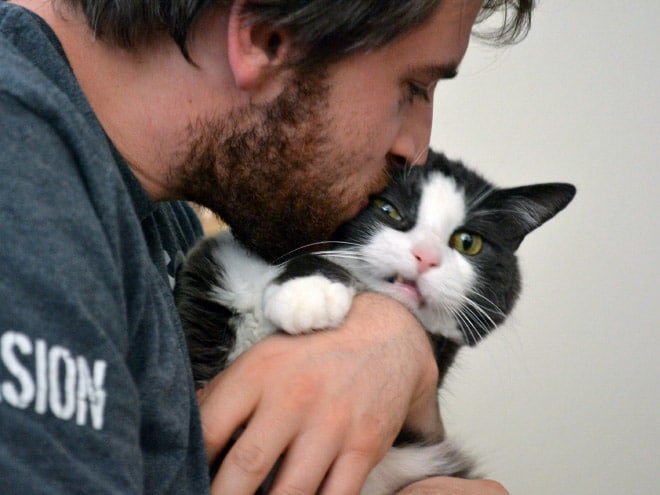 15 фото котиков, которые не любят обнимашки