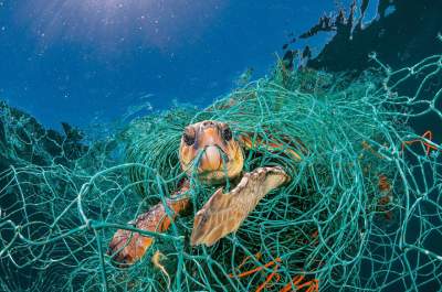 National Geographic выпустил номер, посвященный проблеме пластика в океане. Фото