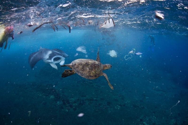 Планета или пластик от National Geographic