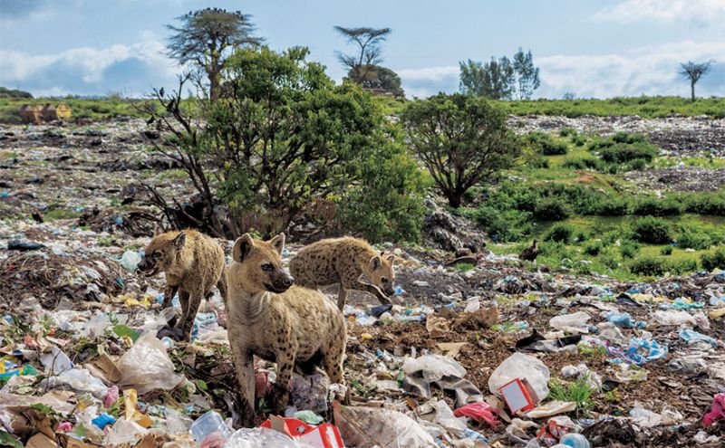 Планета или пластик от National Geographic