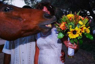 Нелепые фотки со свадеб, которые пошли не по плану