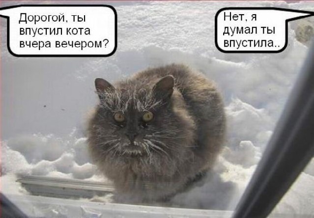 В Украине в пятницу до 28 мороза 