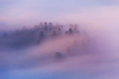 Утренние Карпаты в удивительных туманных снимках. Фото
