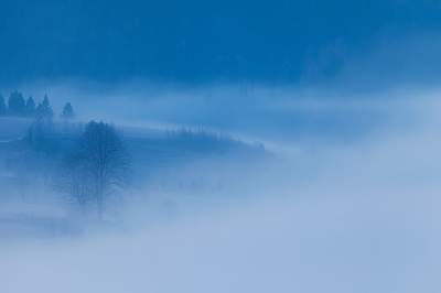 Утренние Карпаты в удивительных туманных снимках. Фото