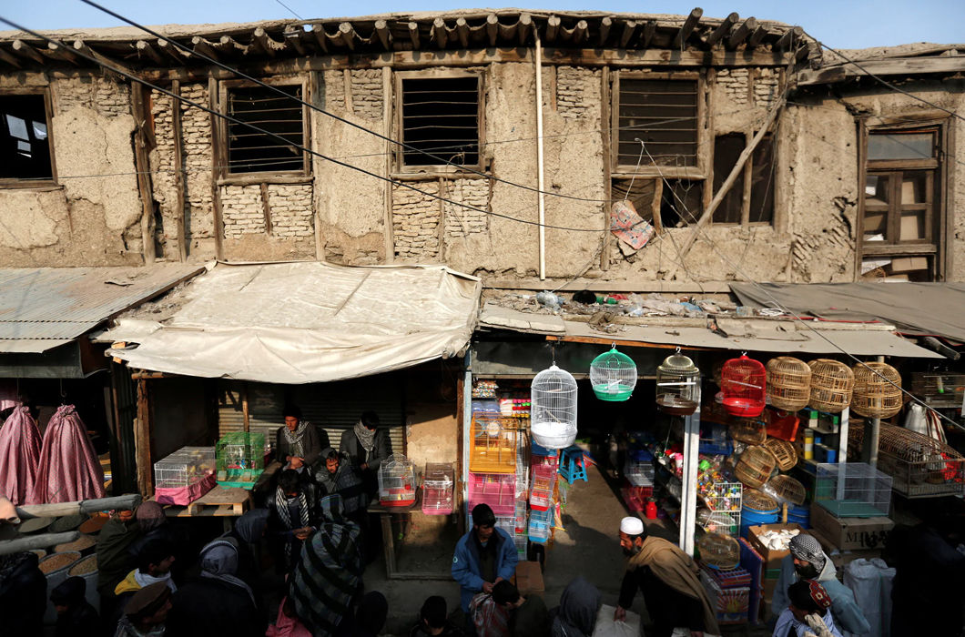 Фотопроект о птичьем рынке в Кабуле