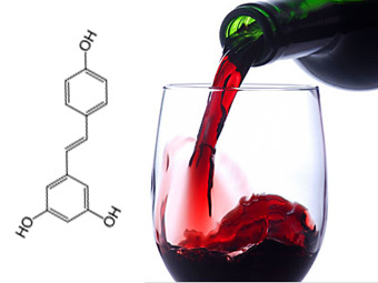 Механизм действия полезного компонента красного вина объяснили по-новому