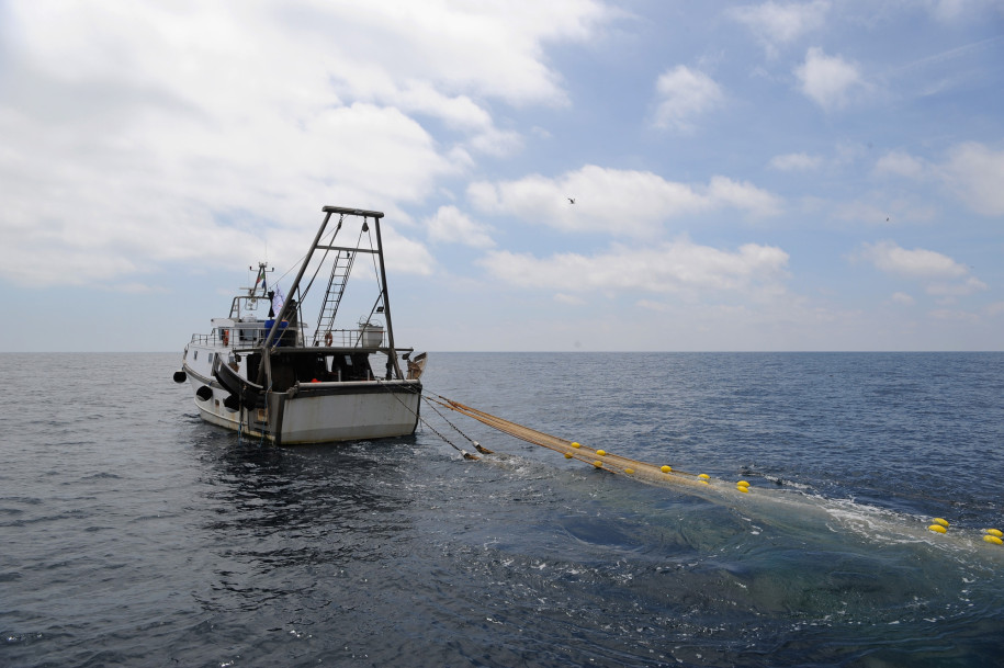 Рыбаки помогают очистить море от пластиковых отходов