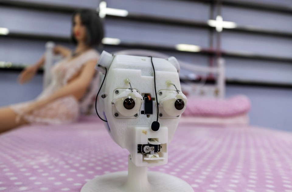 Экскурсия на завод в Китае, где производят секс-роботов