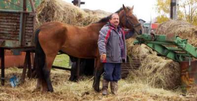 На Камчатке депутат потребовал «место парковки» для своего коня