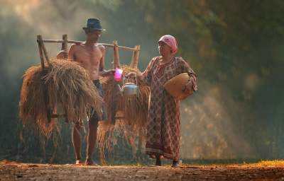 Будни жителей индонезийской деревни в ярких снимках. Фото