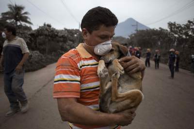 Последствия извержения вулкана Фуэго в Гватемале. Фото