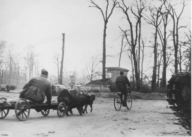 Великая отечественная война от советского фотографа Валерия Фаминского