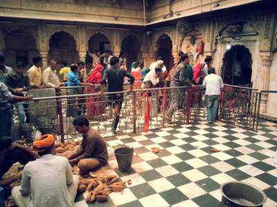 В этом индийском храме люди поклоняются крысам. Фото