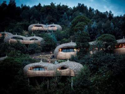 Пятнадцать самых необычных домов, построенных на деревьях. Фото