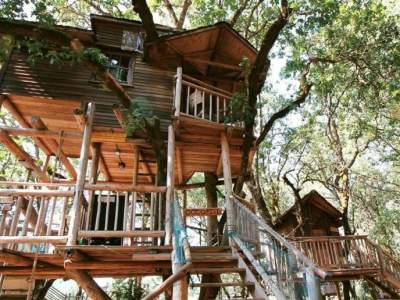 Пятнадцать самых необычных домов, построенных на деревьях. Фото