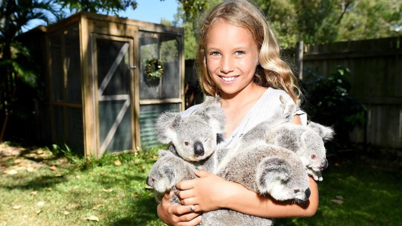 10-летняя девочка с особым даром выхаживает маленьких коал
