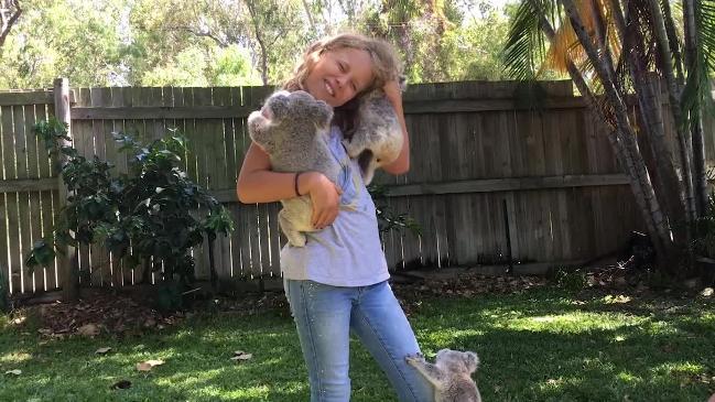 10-летняя девочка с особым даром выхаживает маленьких коал