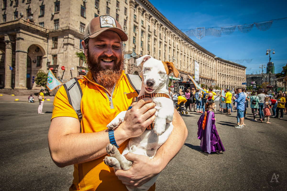 Опубликованы яркие фото парада собак в центре Киева