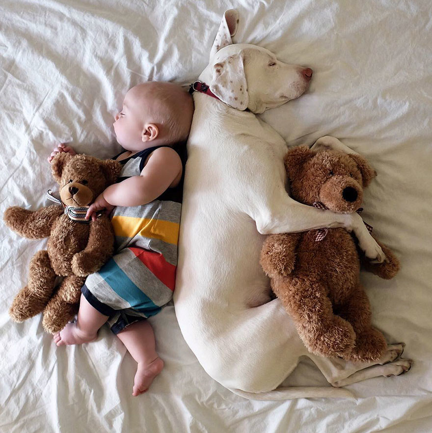 Необычная дружба: Трогательные снимки маленького мальчика и собаки восхитили сеть