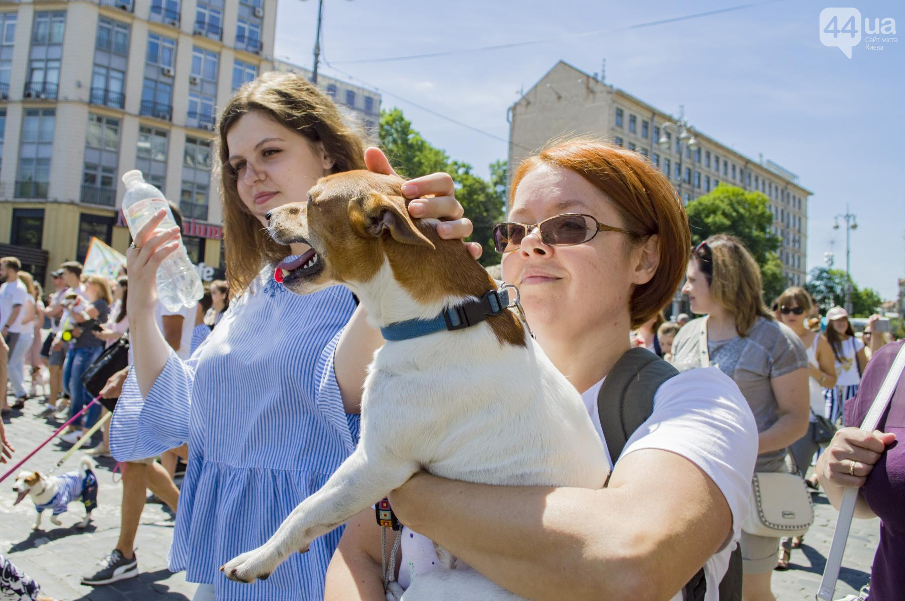 Уголовники, принцессы и ковбои: в Киеве прошел парад собак \"Джек Рассел\"