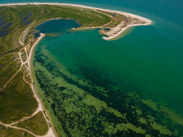 Фото дня: побережье Азовского моря с высоты птичьего полета