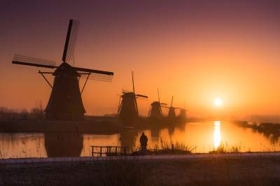 Фотограф показал, ради чего туристы едут в Нидерланды. Фото