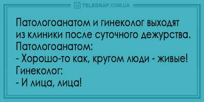 Начните утро с улыбки: подборка лучших анекдотов