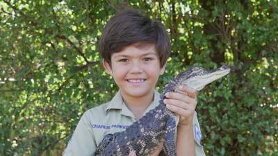 Этот восьмилетний мальчик свободное время проводит с крокодилами. Фото