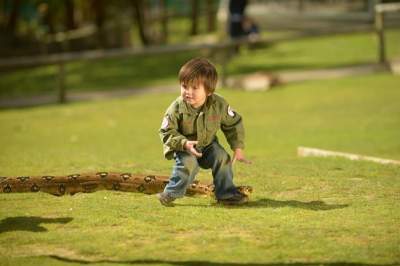 Этот восьмилетний мальчик свободное время проводит с крокодилами. Фото
