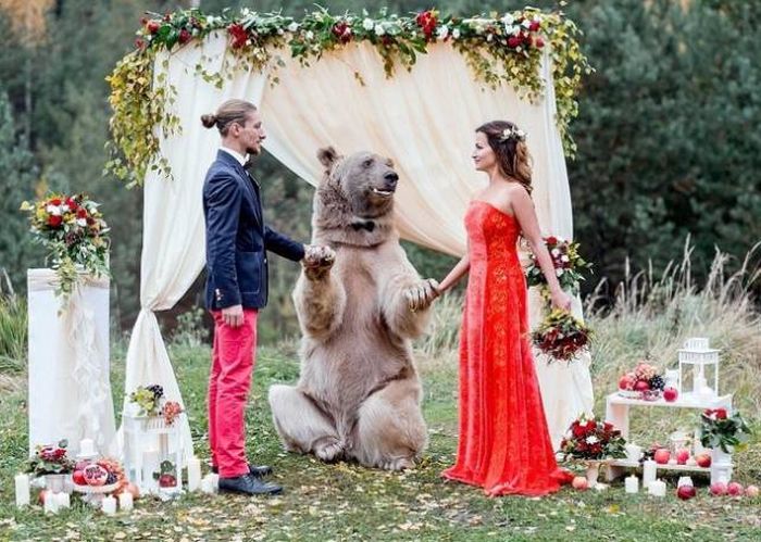 Нестандартные и забавные свадебные снимки
