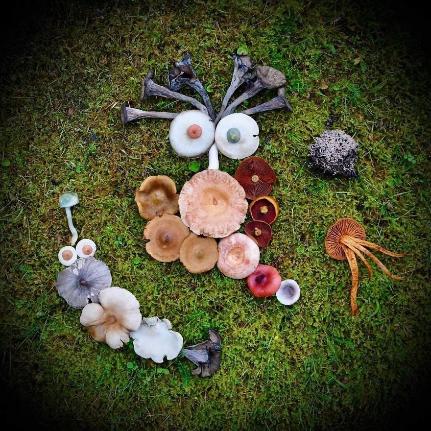Картины из диких грибов от Саары Алхопуро