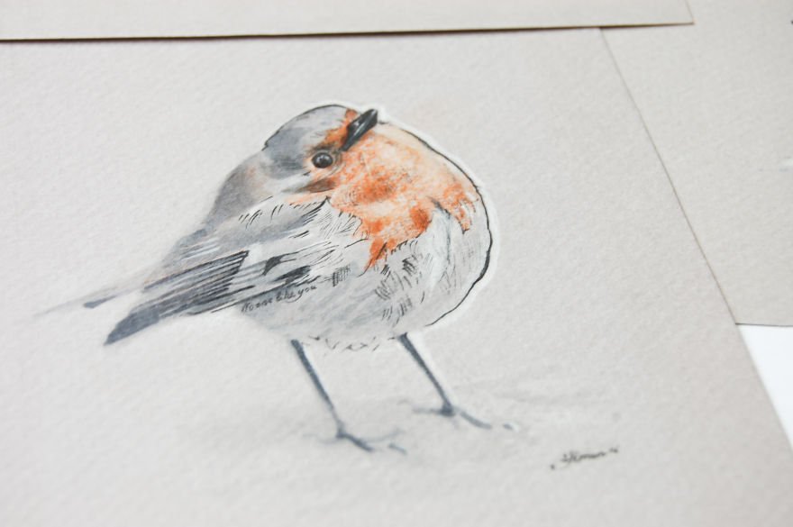 Птицы на рисунках Симона Захгубера