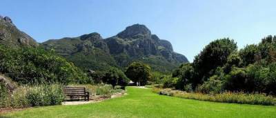 Прогулка по знаменитому ботаническому саду Кейптауна. Фото
