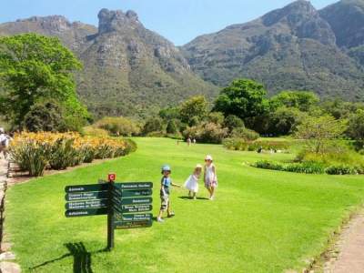 Прогулка по знаменитому ботаническому саду Кейптауна. Фото