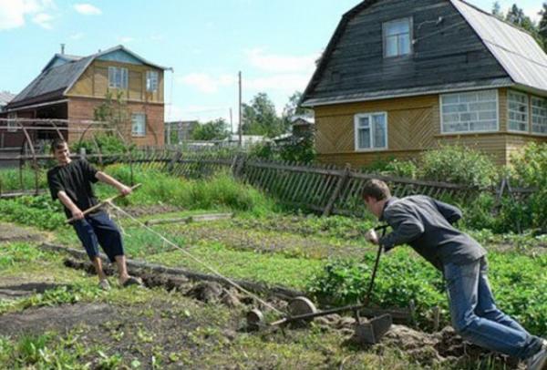 10 безумных дачных снимков, которые сделают ваш день (ФОТО)