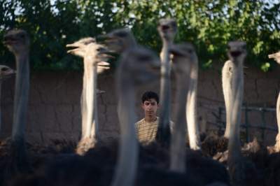Жестокие реалии жизни в Афганистане. Фото