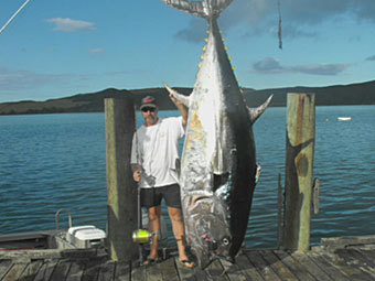 Новозеландский рыбак поймал на удочку гигантского тунца  