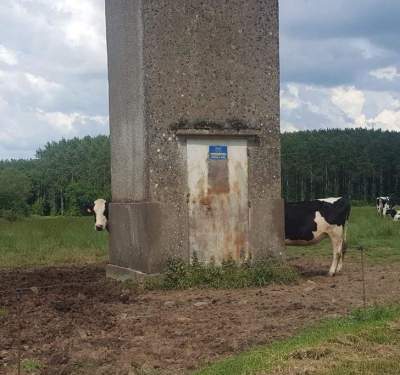 Улетные фотки, вызывающие множество вопросов