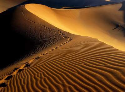 Инопланетные пейзажи Мертвой Долины в Намибии. Фото