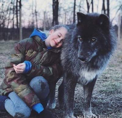 Так выглядят гибриды собак и волков. Фото