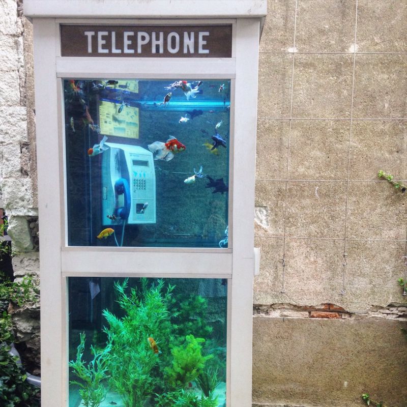Бассейны из старых авто, аквариумы из телефонных будок
