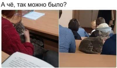 Свежие фотомемы для отличного настроения