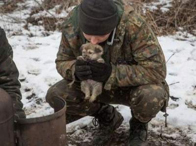 В Сети показали хвостатых друзей украинских военных. Фото