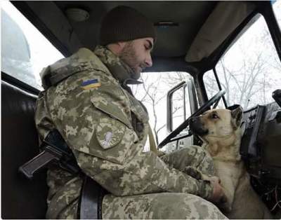 В Сети показали хвостатых друзей украинских военных. Фото