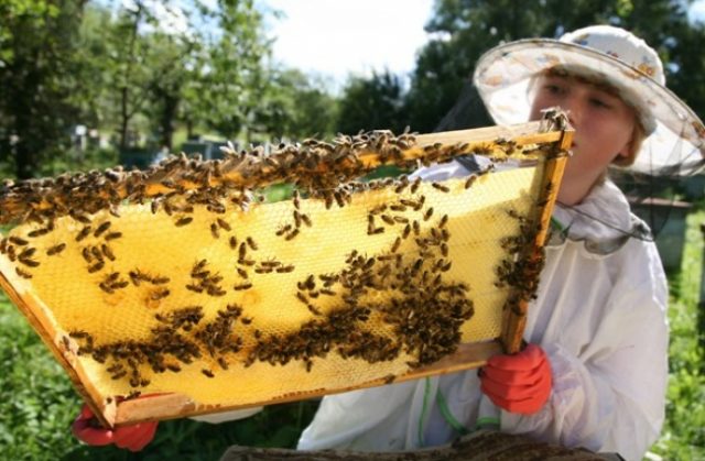 Необычные школьные уроки, на которых дети не скучают