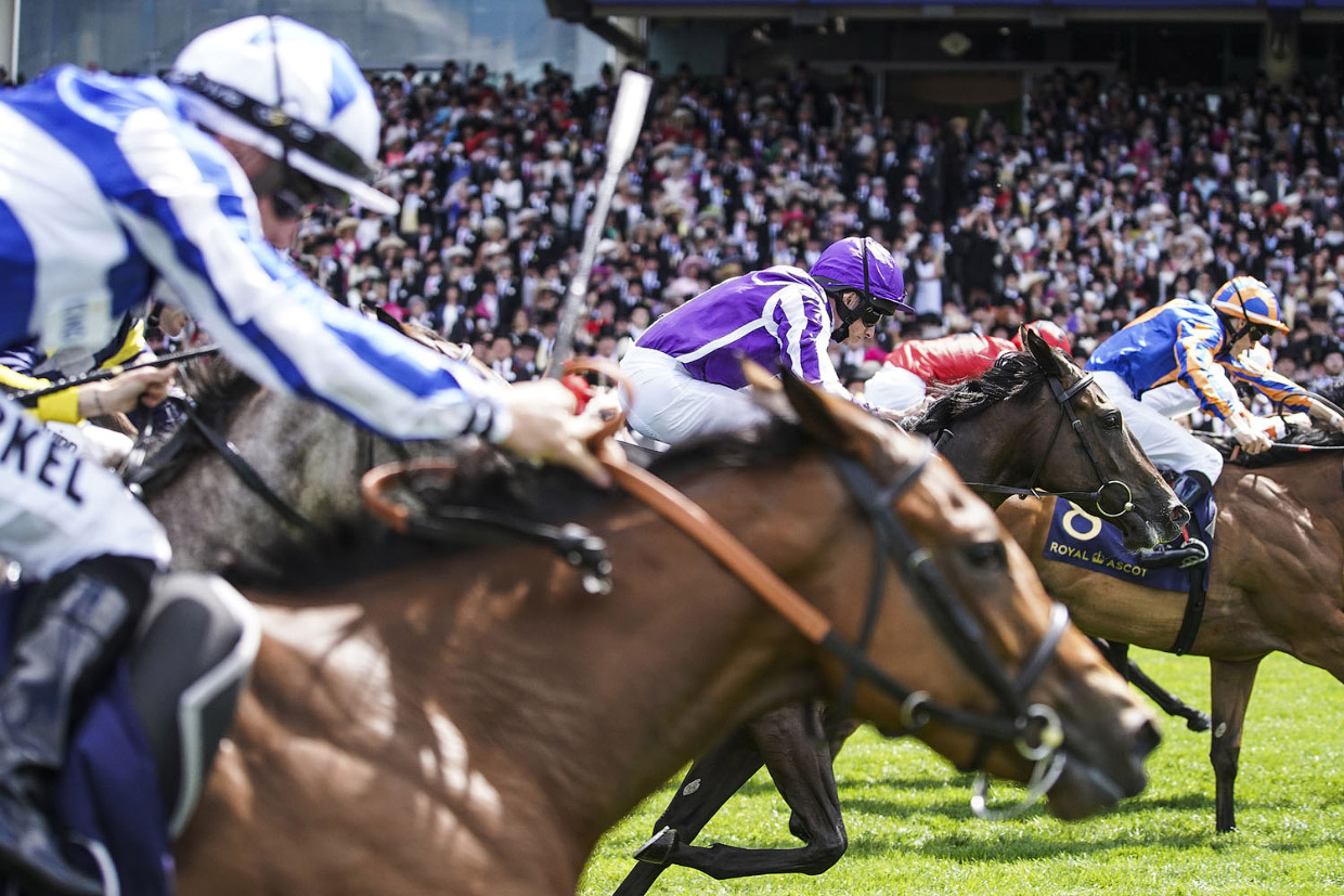 Необычные и безумные шляпы на ежегодных скачках Royal Ascot