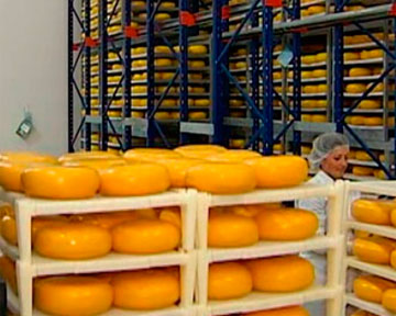Роспотребнадзор сегодня начнет наконец проверку украинских сыров