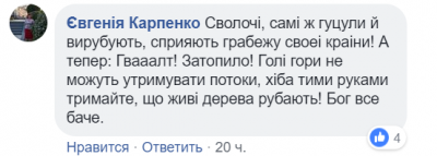 В Сети показали, как вывозят украинский лес. Видео